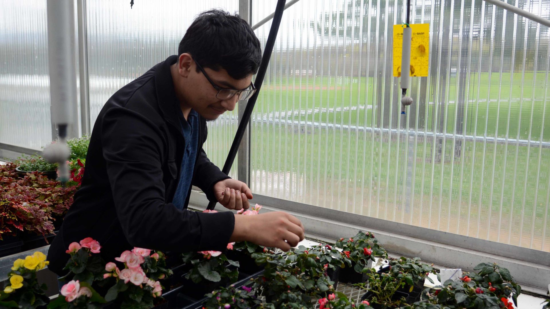 Baraboo High School students prepare for annual plant sale